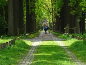 Startpunt Natuurpoort Nemerlaer