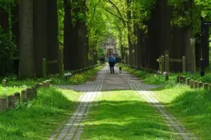 Startpunt Natuurpoort Nemerlaer