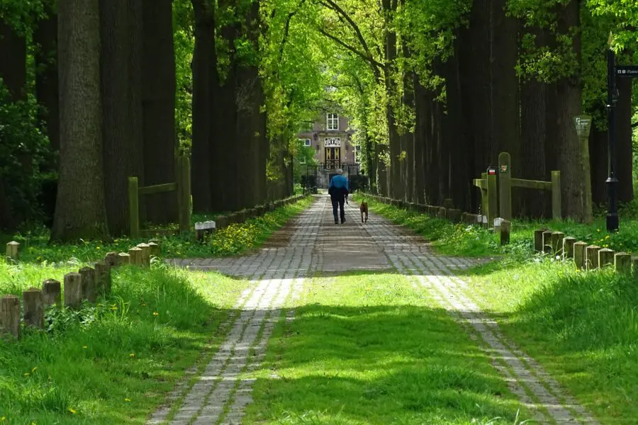 Startpunt Natuurpoort Nemerlaer