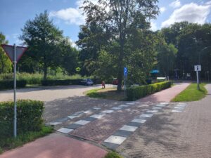 Startpunt Plantloon
